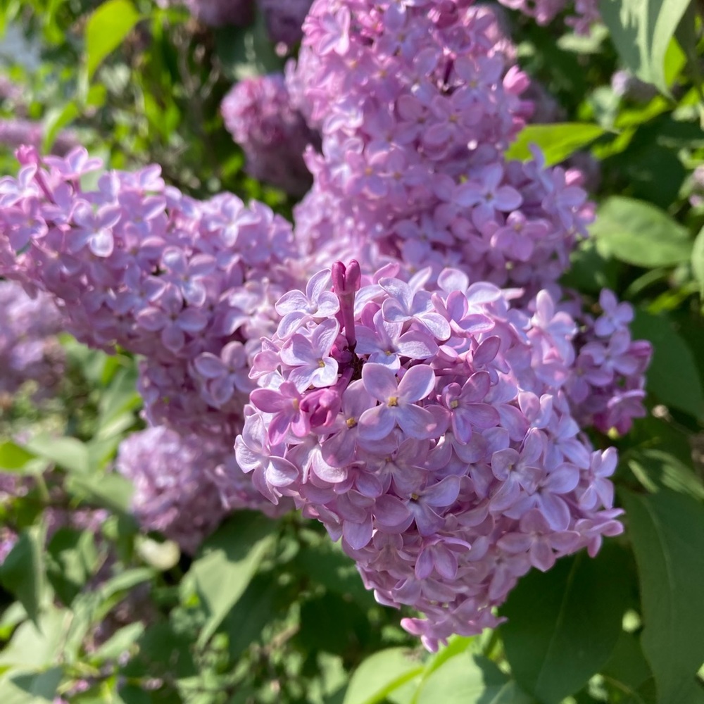 Meet your Posher, Kate